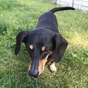 Meet your Posher, Helen